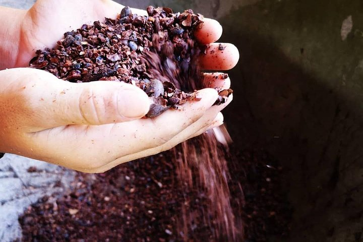 Chocolate Tour Standard #1: Transportation Included without Lunch - Photo 1 of 11